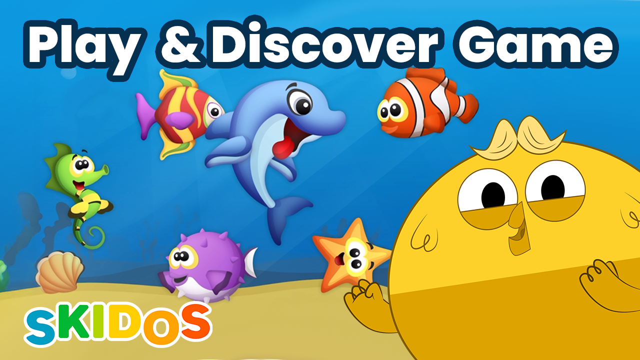Play & Discover Game